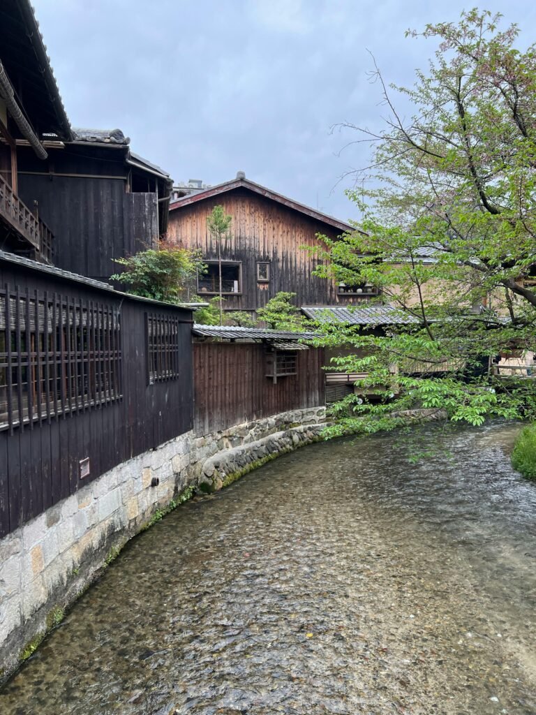 Old wooden buildings by a calm canal with a tree in Kyoto's Gion District.