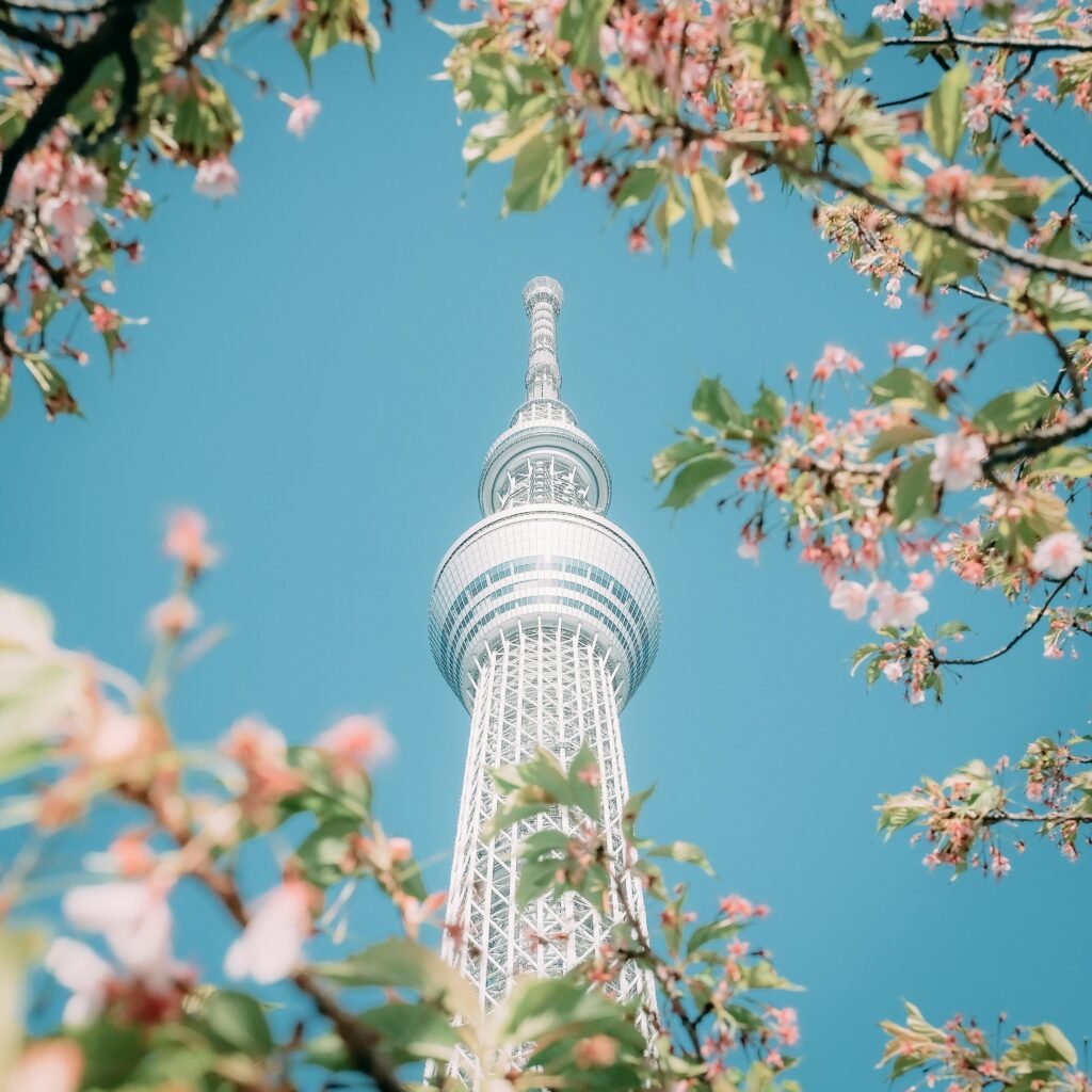 Tokyo Skytree tower framed by cherry blossoms against a blue sky.