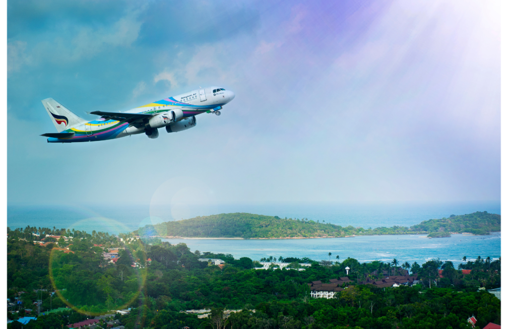 White and Light Simple Presentation (11) Long Flight