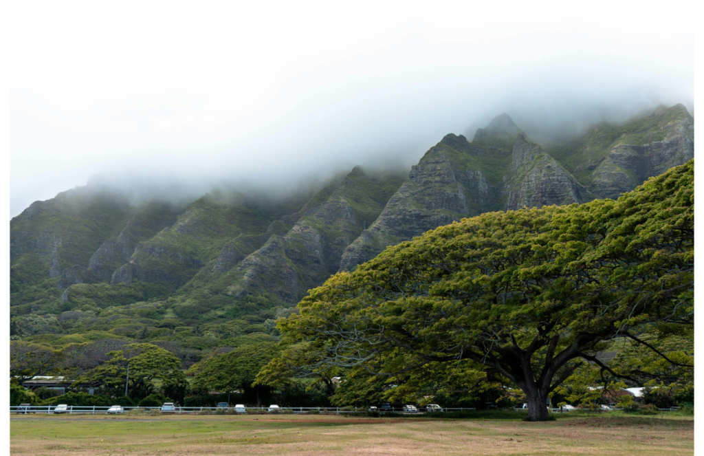 White and Light Simple Presentation (28)