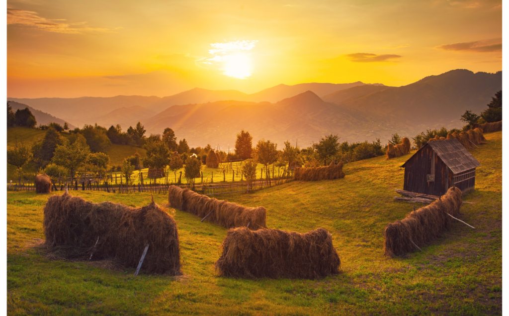 Haystack landscape in rural area of Romania