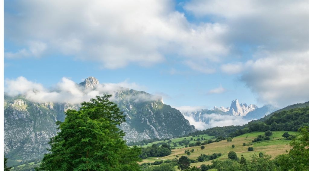 picture of mountains, forest and lush green land scapes