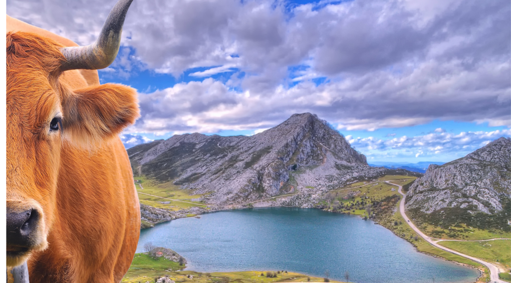 Where to stay in asturias