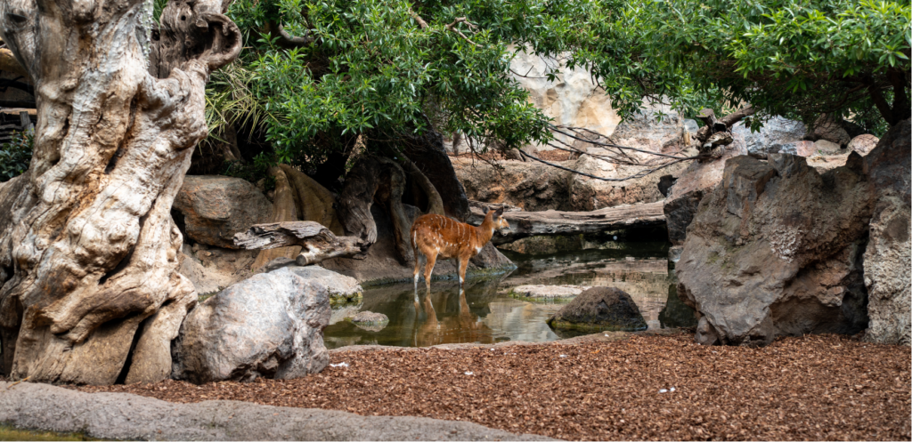 bio_park_valencia Valencia With Kids: 10 Fun Things to Do (Parks, Beaches & More)