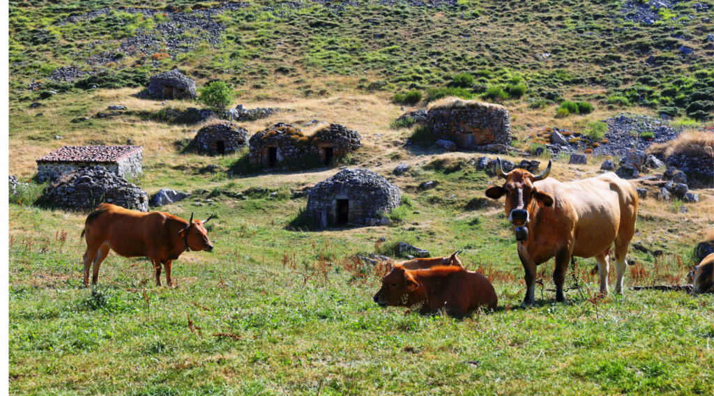 somiedo 10 Day Asturias Itinerary