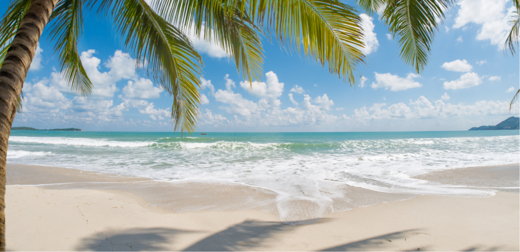 Patacona Beach Best Areas to Stay in Valencia