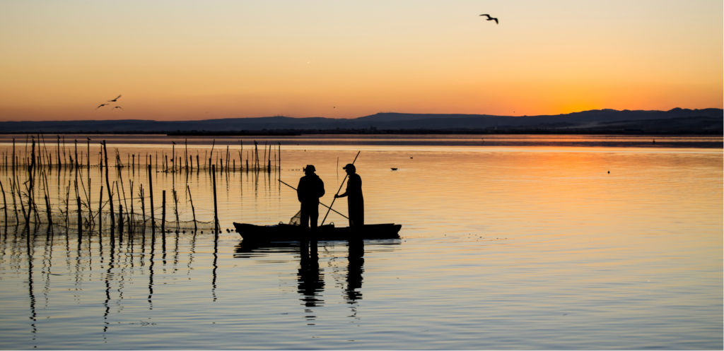 albufera valencia